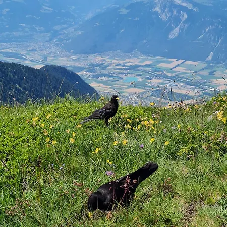 Au Centre Du Village 4-6 Personnes Apartment Leysin