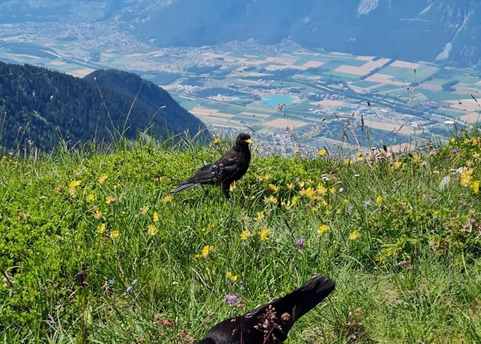 Au Centre Du Village 4-6 Personnes Lägenhet Leysin